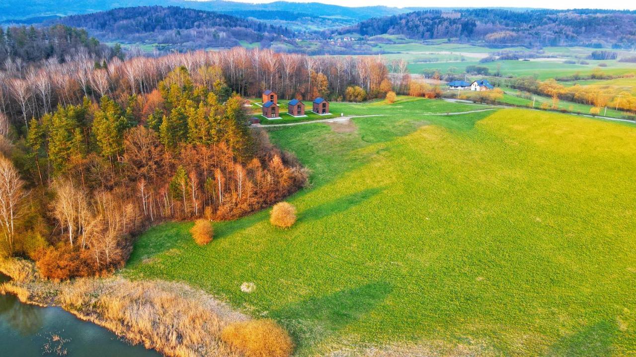Dzikie Lisko - Apartament Z Klimatyzacja Lesko Buitenkant foto