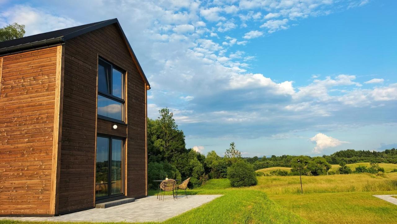 Dzikie Lisko - Apartament Z Klimatyzacja Lesko Buitenkant foto